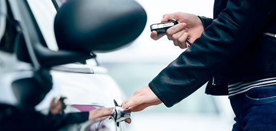 Obtención y renovación de licencias